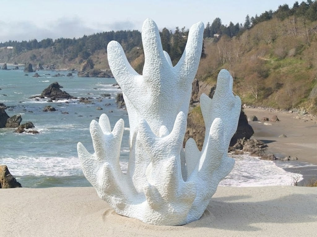 Boho Coral Lamp | Beach House Decor | Coastal Beach Decor | Ocean Room Decor | Nautical Home Decor | Sea Lamp | Coastal Night Light