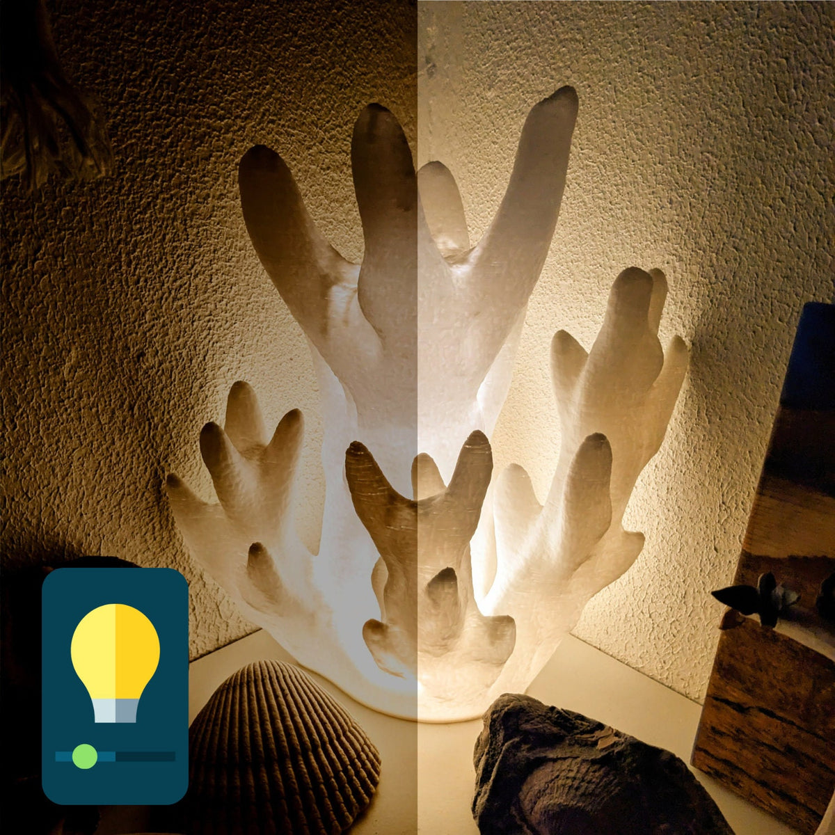 Boho Coral Lamp by Ocean Home Studio, photo 9