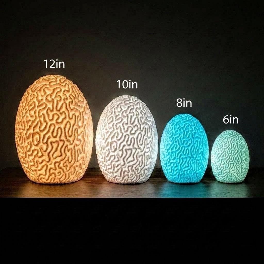 Brain Coral Lamp by Ocean Home Studio, photo 3