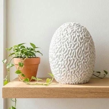 Brain Coral Lamp by Ocean Home Studio, photo 4