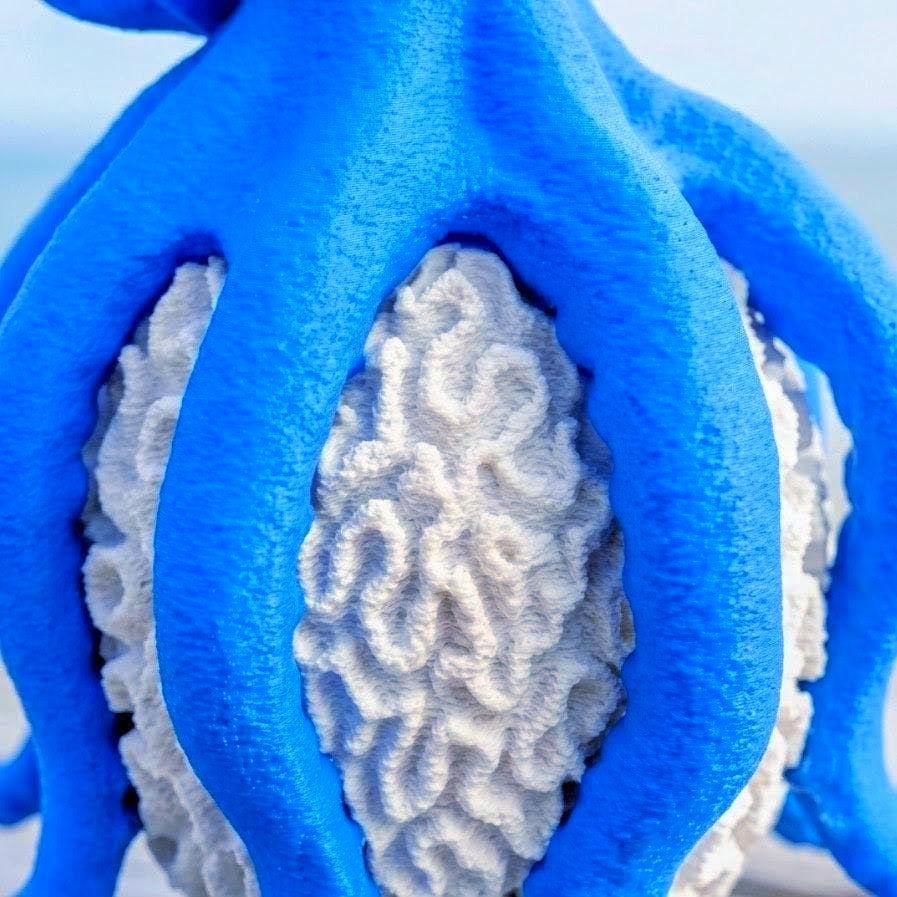 Octopus Lamp by Ocean Home Studio, photo 7