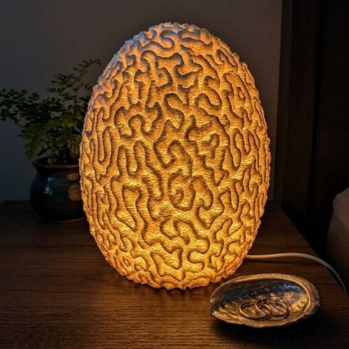 Brain Coral Lamp by Ocean Home Studio, photo 1