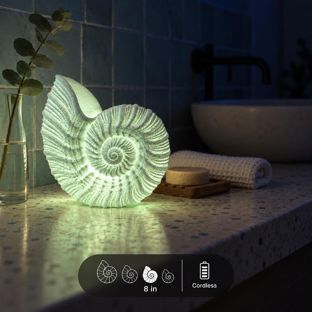 Nautilus Shell Lamp by Ocean Home Studio, photo 8