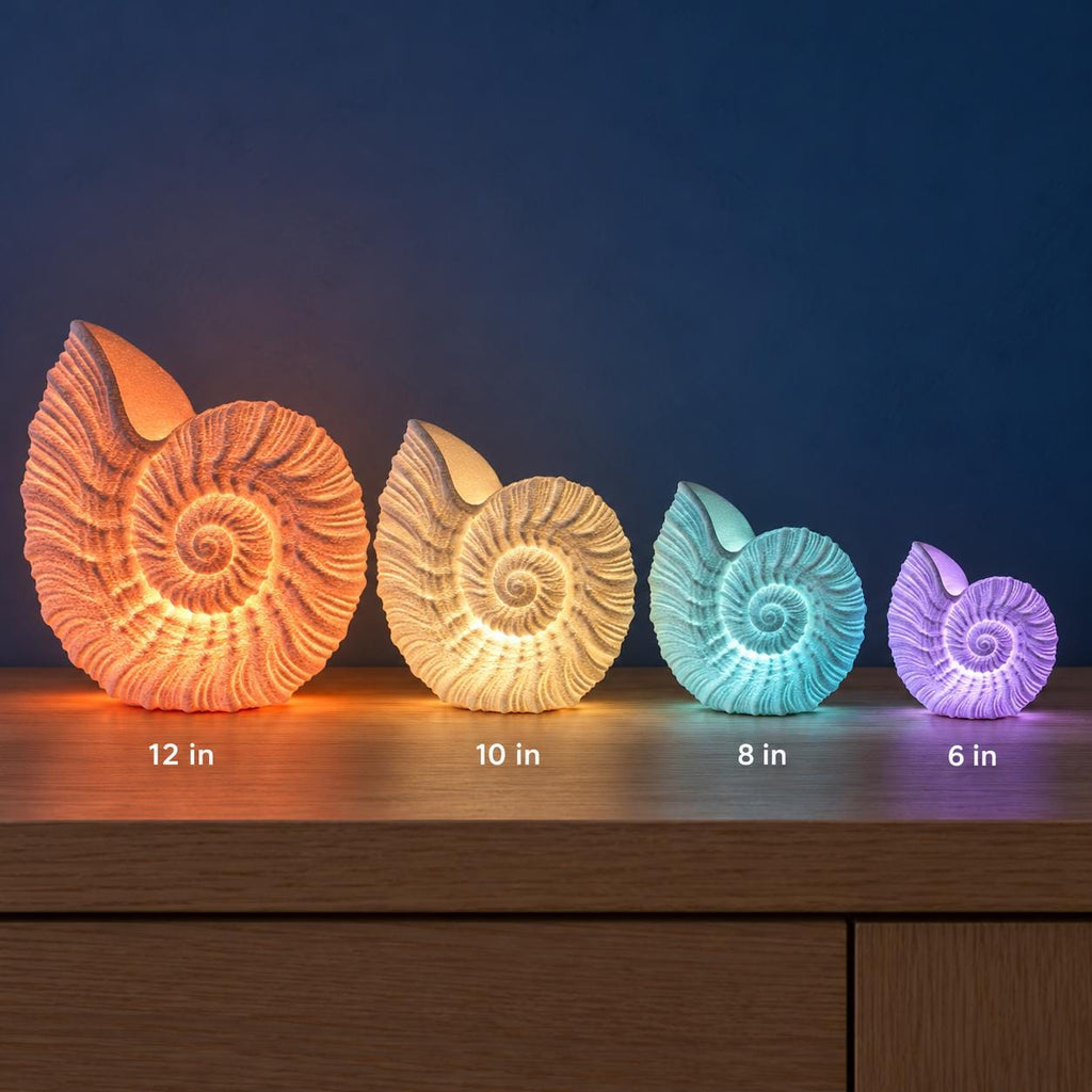 Nautilus Shell Lamp by Ocean Home Studio, photo 6