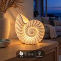 Nautilus Shell Lamp by Ocean Home Studio, photo 1