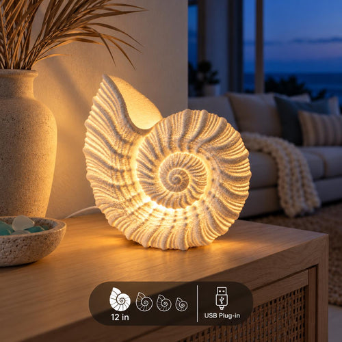 Nautilus Shell Lamp by Ocean Home Studio, photo 1